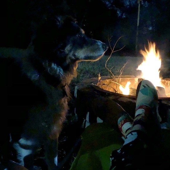 Meet your Posher, Jaime - Picture 8 of 16